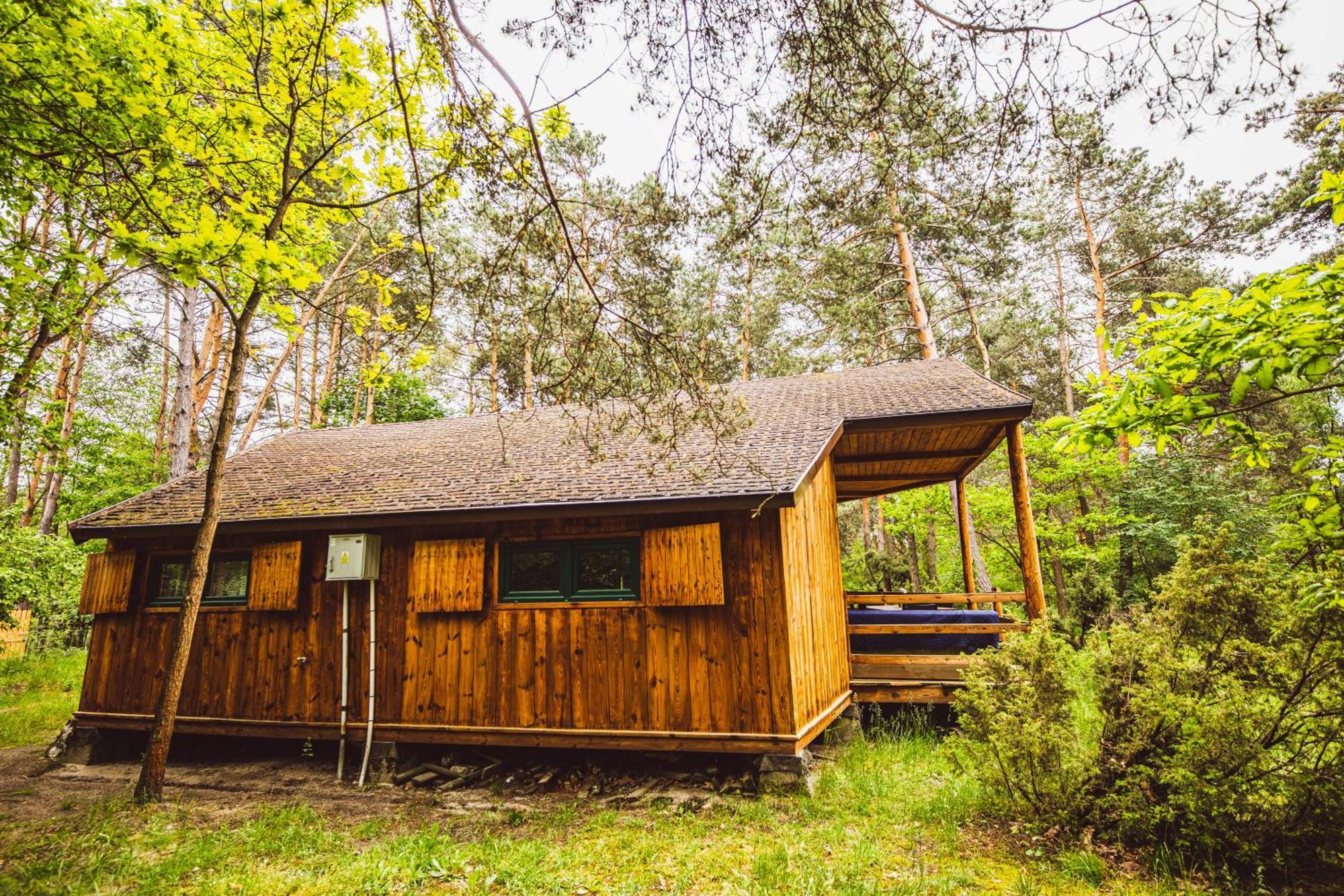 Cozy Nature Retreat With Patio Fireplace Garden Maciejowice Экстерьер фото