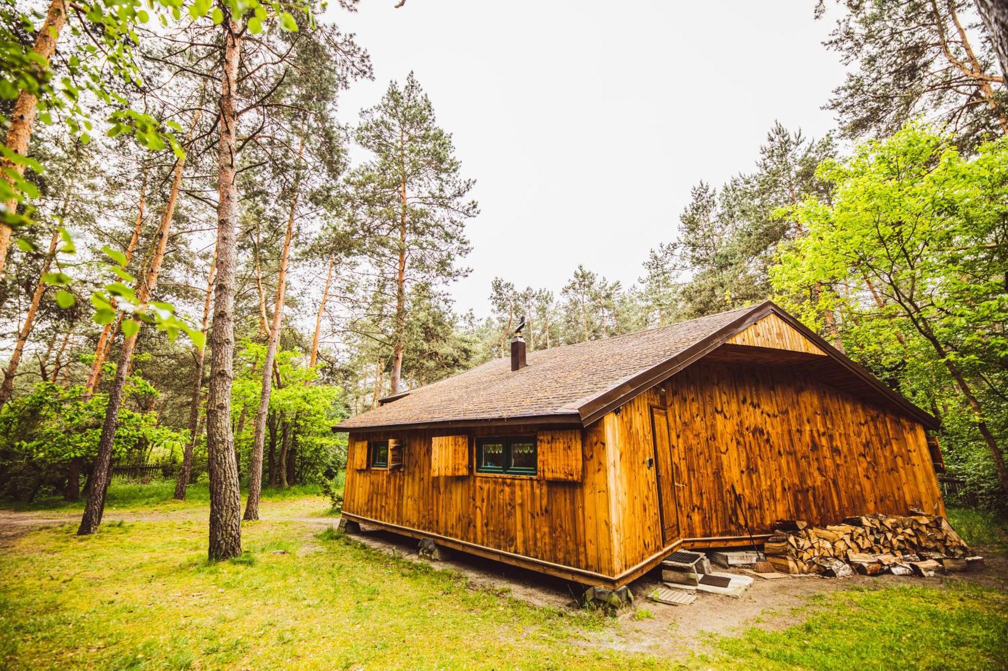 Cozy Nature Retreat With Patio Fireplace Garden Maciejowice Экстерьер фото