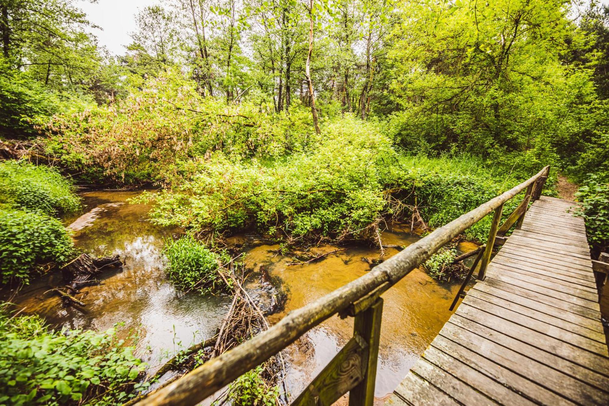 Cozy Nature Retreat With Patio Fireplace Garden Maciejowice Экстерьер фото